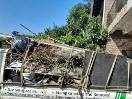 Best Basement Cleanout  in Rio, VA
